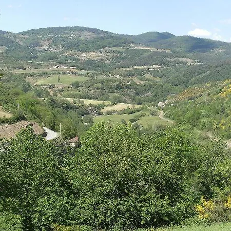 Les Roches אורחן *